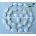 Chinese Snow White Pumkin Seeds,New Crop